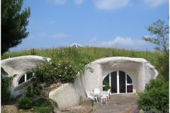 20 Green Roof Pictures