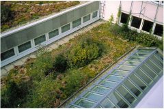 62 Green Roof Technology