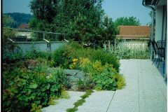 09 Green Roof Pictures
