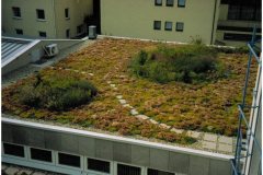 56 GreenRoofTechnology