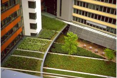 55 Green Roof Technology