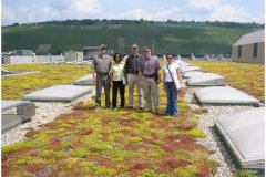 28 Green Roof Pictures