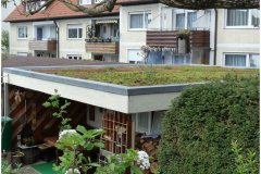 10 Green Roof Pictures