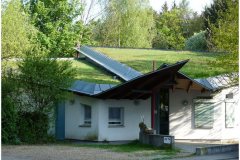 22 Green Roof Pictures