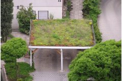 58 GreenRoofTechnology