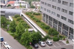 30 GreenRoofTechnology