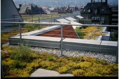 72 Green Roof Technology