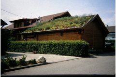 31 GreenRoofTechnology