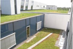 33 Green Roof Technology