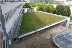 76 Green Roof Technology