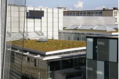 58 Green Roof Technology