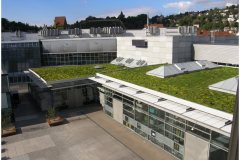 65 Green  Roof Technology