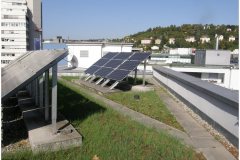 36 Green Roof Pictures