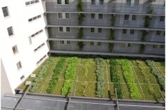 37 GreenRoofTechnology