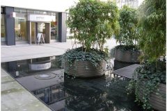 77 Green Roof Technology