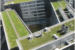 66 Green Roof Technology