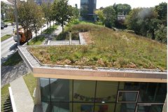 80 GreenRoof Technology
