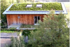 81 Green Roof Technology