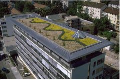 39 Green Roof Pictures