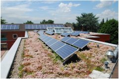 82 Green Roof Technology