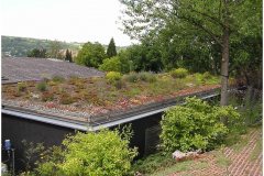84 Green Roof Technolog