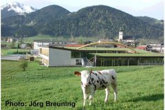 43 Green RoofTechnology