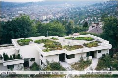 44 Green Roof Technology