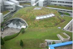 45 GreenRoof Technology