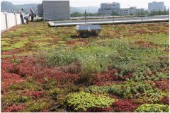 85 Green Roof Technology