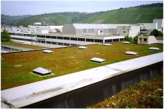 46 GreenRoofTechnology