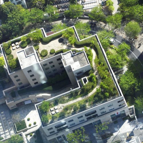 Green Roof Types