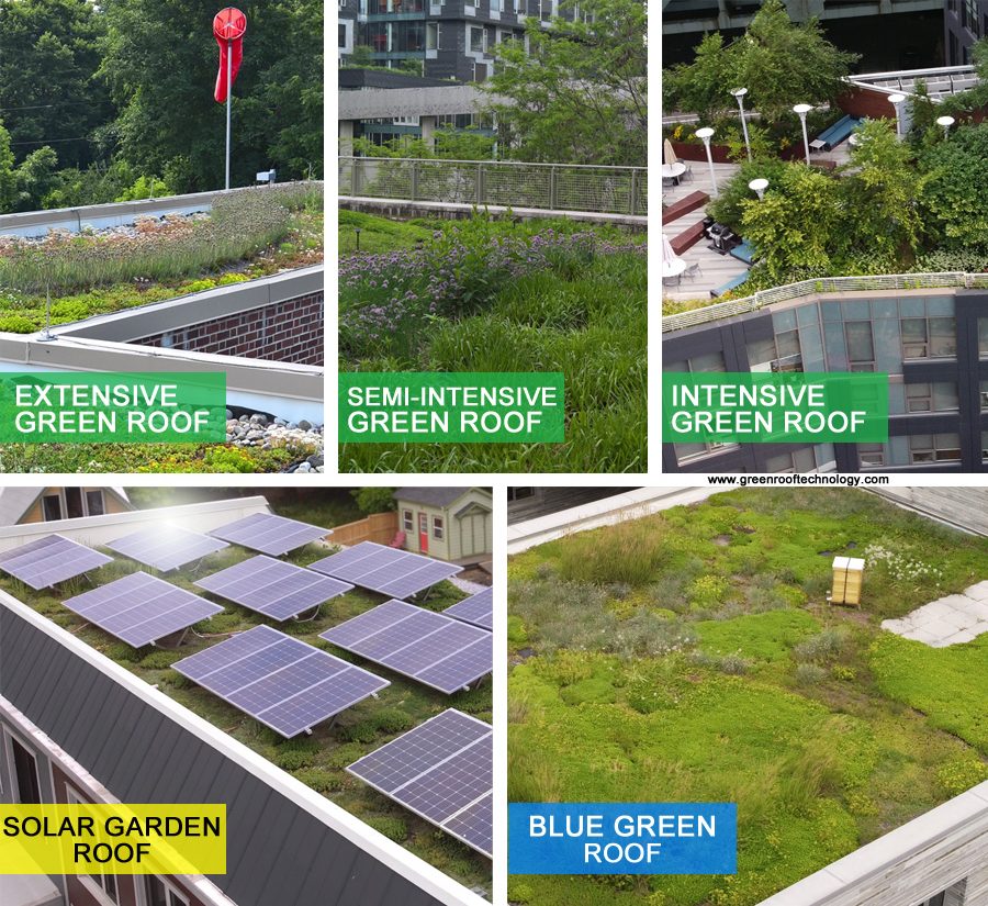 Green Roof Types