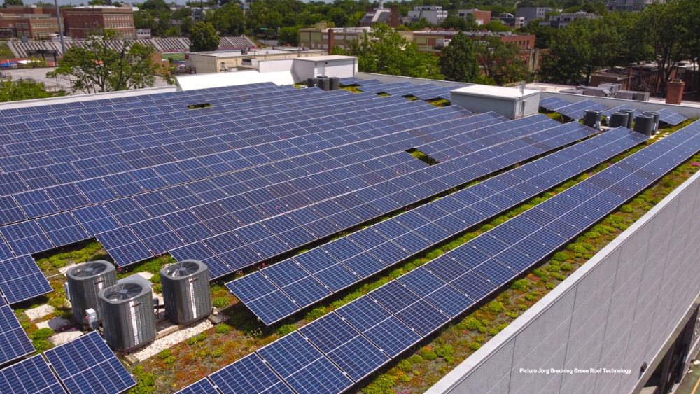 Solar Garden Roofs are the most profitable in regards ROI