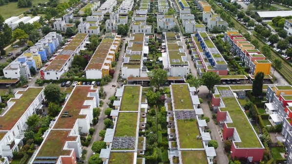 Entire neighborhoods are with extensive green roofs (in Germany) 