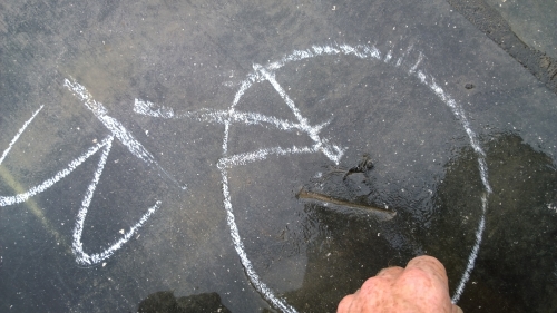 The power of Leak Detection Systems is still underestimated in North America
