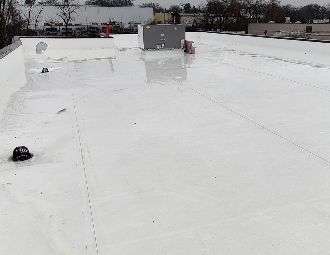 Integrated Solar-Green-Roof starts with cleaning the roof