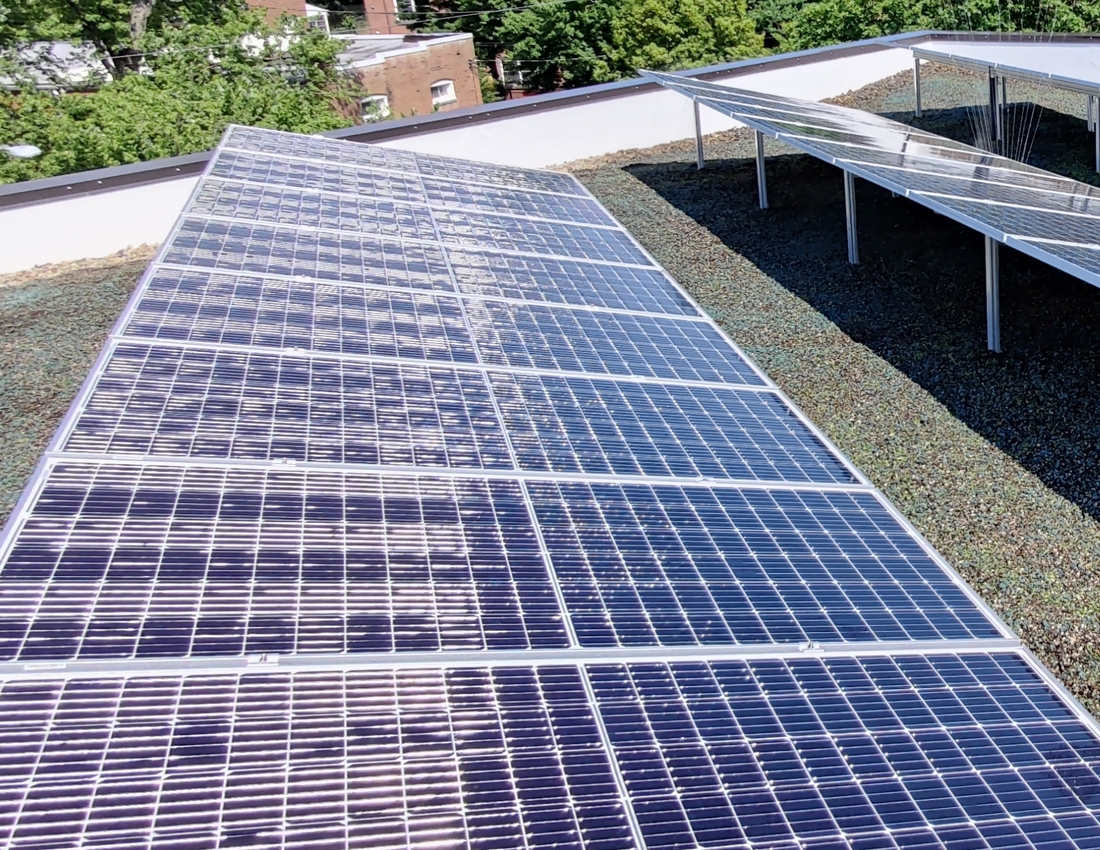 Hydroseeding on Green Roof and biosolar