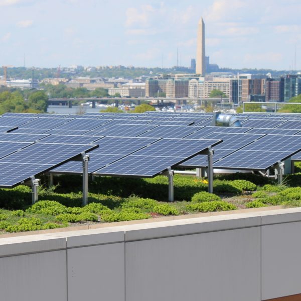 PV System is fully integrated within the Green Roof System most effective solution