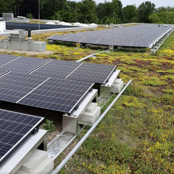 PV System is placed ontop of existing Green Roof, mostly bifacial, vertical systems