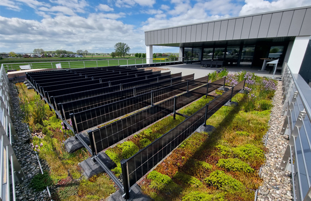 PV System is placed ontop of existing Green Roof, mostly bifacial, vertical systems