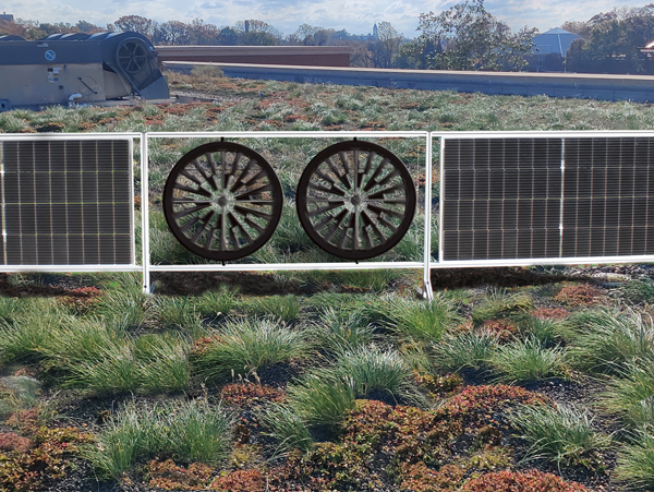 Would you call it bio wind?