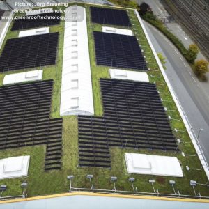 Indoor Agrisolar: An indoor solar greenhouse 