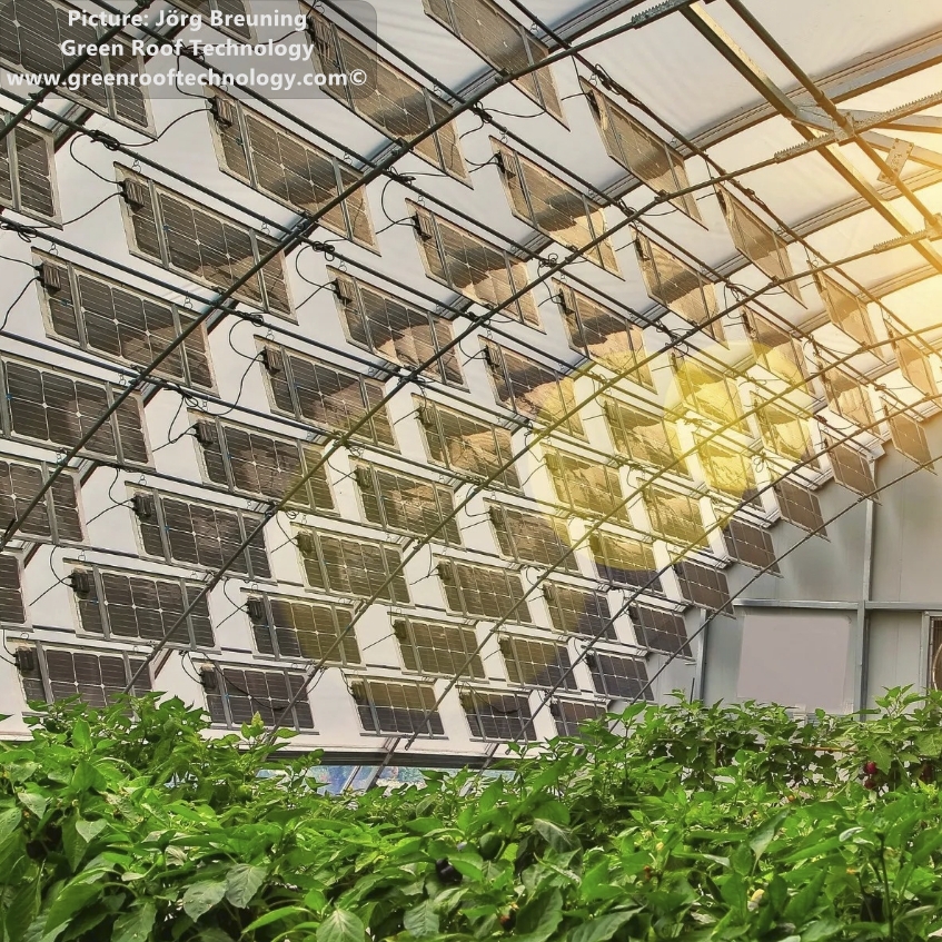 Greenhouse indoor agrisolar