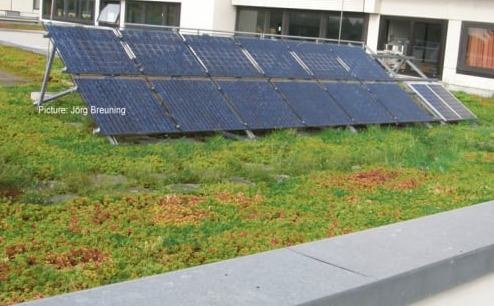 First translucent Solar Green Roof in the world